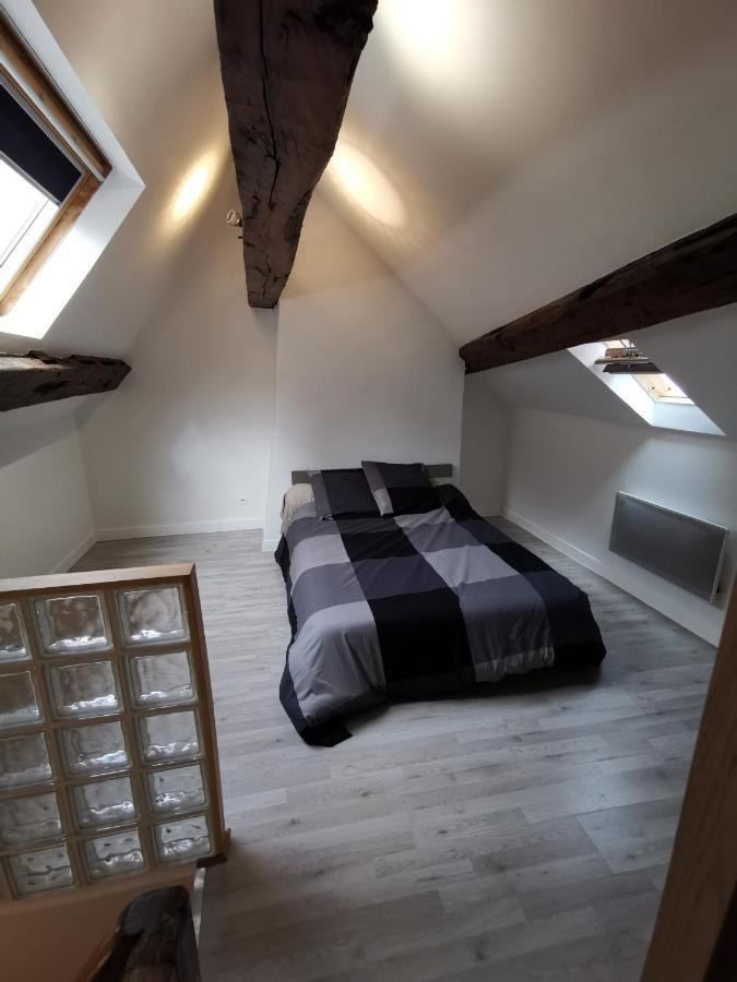 Appartement Hyper Centre Au Bord De Loire Orléans Dış mekan fotoğraf