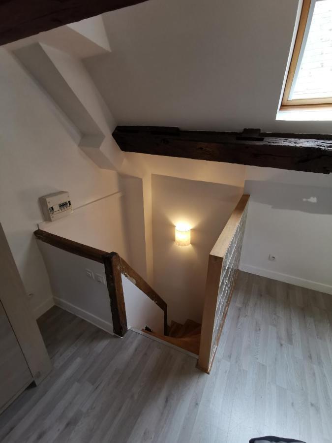Appartement Hyper Centre Au Bord De Loire Orléans Dış mekan fotoğraf