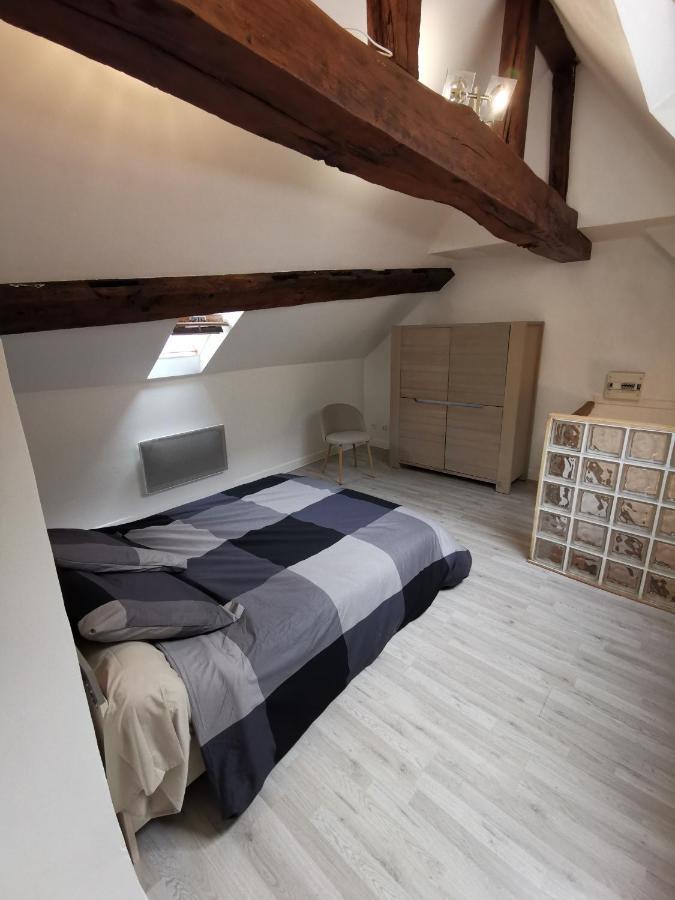 Appartement Hyper Centre Au Bord De Loire Orléans Dış mekan fotoğraf